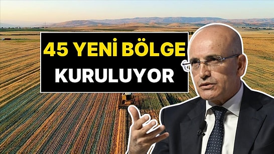 Bakan Mehmet Şimşek Yeni Projeyi Açıkladı: 45 Yeni Bölge Kuruluyor!