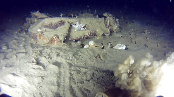 51 yıl önce yaşanmış, 42 kişi hayatını kaybetmişti.