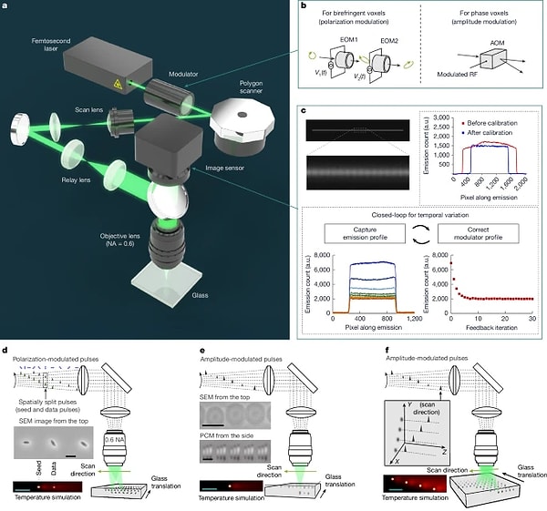 Peki ne kadar dayanıklı?