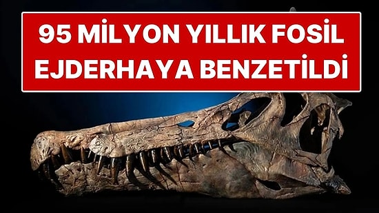 Sahra Çölü’nde 'Ejderha'ya Benzeyen 95 Milyon Yıllık Fosil Keşfedildi