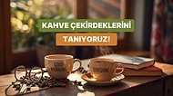 Arabica, Robusta… Kahve Çekirdeklerinin Farkı Ne?