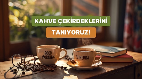 Arabica, Robusta… Kahve Çekirdeklerinin Farkı Ne?