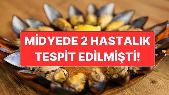 İzmir’deki Midyelerde Virüs Tespit Edildiği İddiaları Üzerine Tarım ve Orman İl Müdürlüğü Açıklama Yaptı