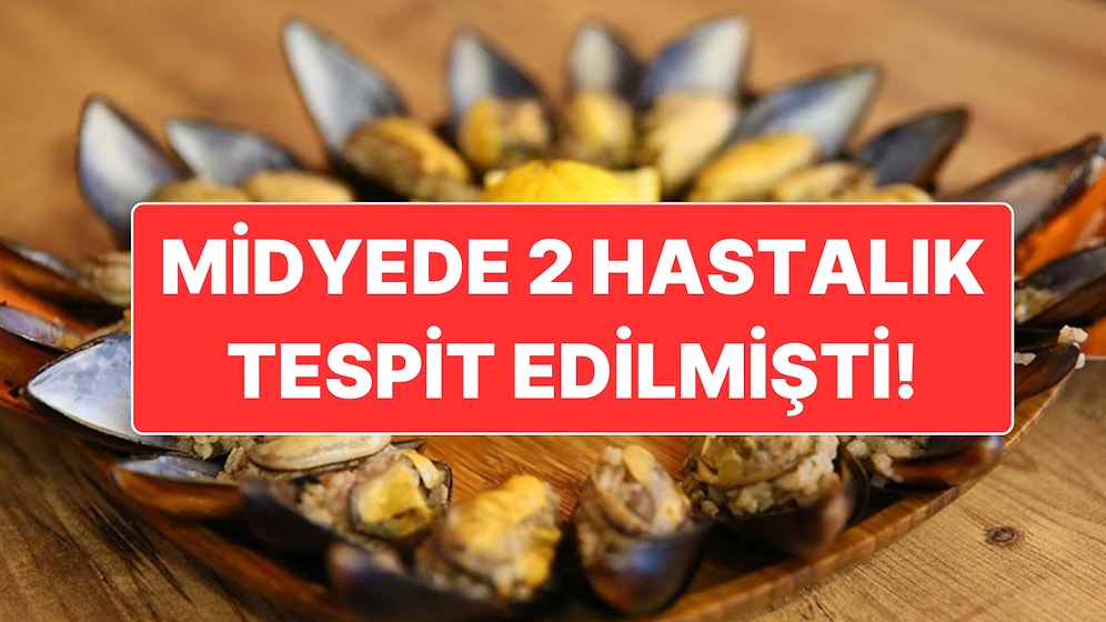 İzmir’deki Midyelerde Virüs Tespit Edildiği İddiaları Üzerine Tarım ve Orman İl Müdürlüğü Açıklama Yaptı