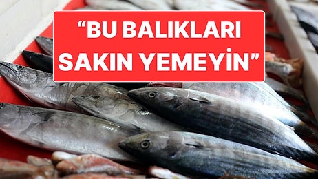 İzmir’deki Midyelerde Hastalık Tespit Edilmesi Sonrasında Balıklar İçin de Uyarı Geldi