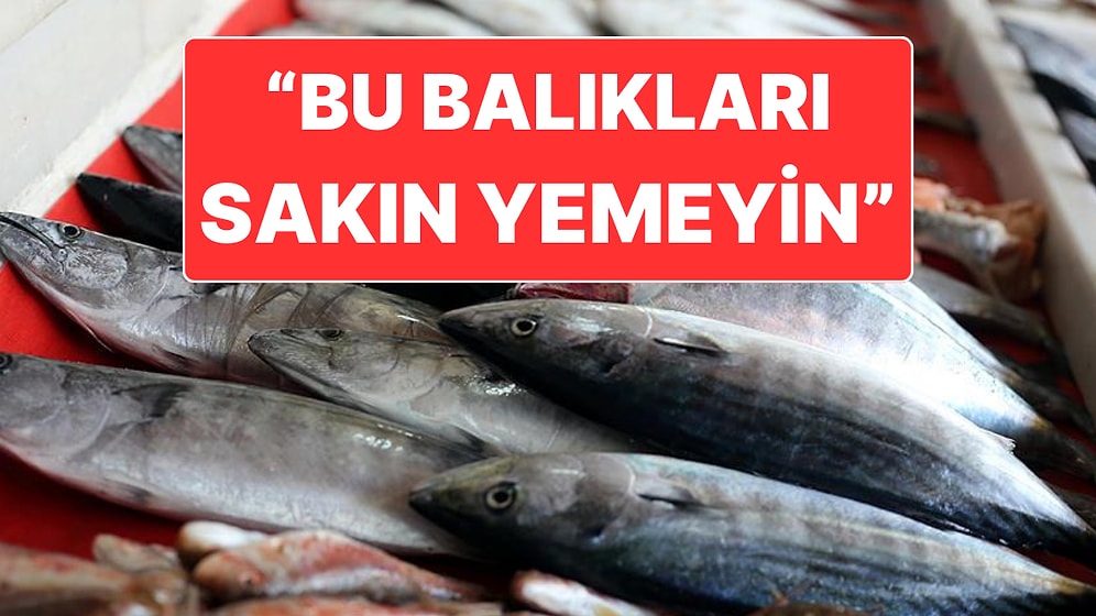 İzmir’deki Midyelerde Hastalık Tespit Edilmesi Sonrasında Balıklar İçin de Uyarı Geldi