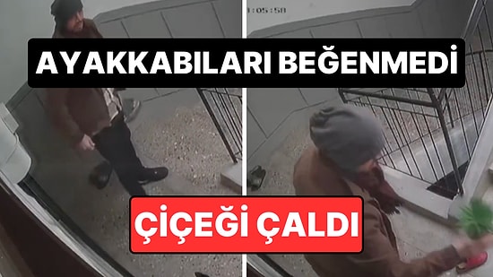Hırsızlığın Böylesi: Marka Ayakkabı Bulamayınca Süs Çiçeğini Çalan Hırsız Kameraya Yakalandı