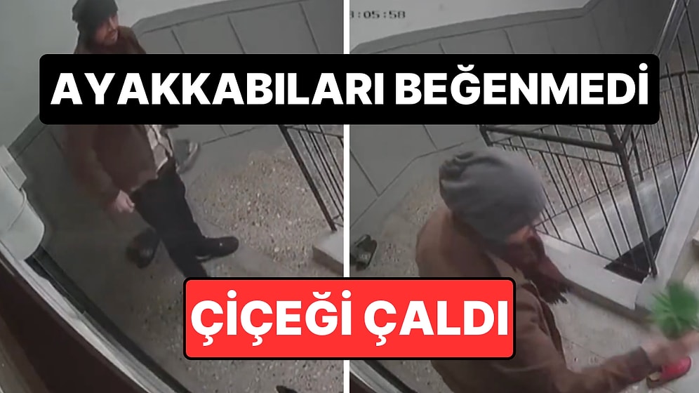 Hırsızlığın Böylesi: Marka Ayakkabı Bulamayınca Süs Çiçeğini Çalan Hırsız Kameraya Yakalandı