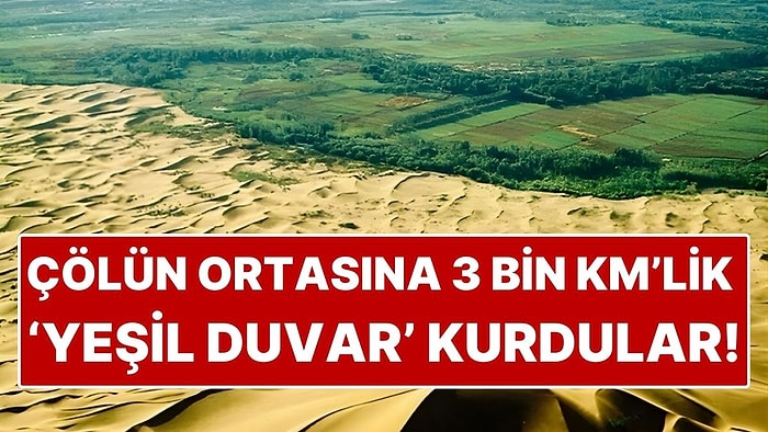 Çölün Ortasına Ağaç Duvarı Kurdular! Çin'in "Büyük Yeşil Duvar" Projesi Başarılı Oldu