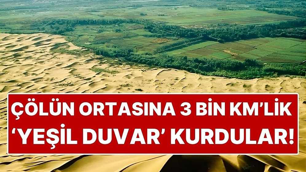 Çölün Ortasına Ağaç Duvarı Kurdular! Çin'in "Büyük Yeşil Duvar" Projesi Başarılı Oldu