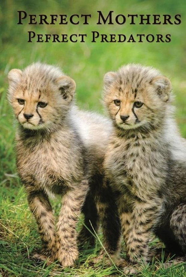 Perfect Mothers, Perfect Predators Posteri