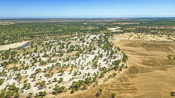 Taklamakan deneyi, insanlığın sert doğayı onarma kapasitesini kanıtlıyor.