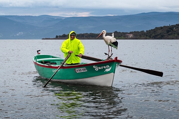 Yaren leylek ve Adem Amca 15'inci kez kavuştu.