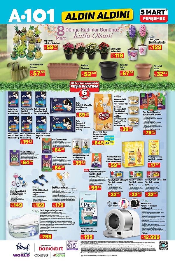 Canlı Çiçek Kalanchoe 119 TL