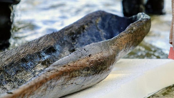 İlk keşif herkesi ters köşe yaptı: 300 sanıldı, 1.200 çıktı