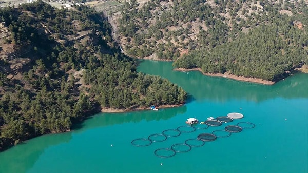 Deprem sonrası zarar gören tesisler desteklerle yenilendi, üretim yeniden hız kazandı.