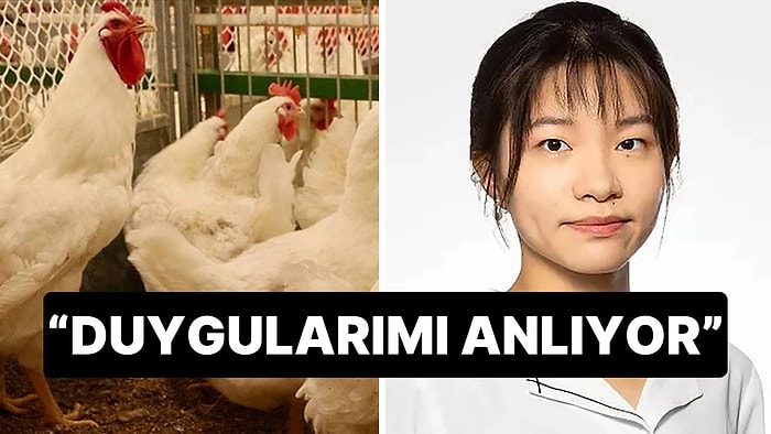 Psikoloji Profesörü Duygusal Destek İçin Tavuğuyla Seyahat Ediyor: “Duygularımı Anlıyor”