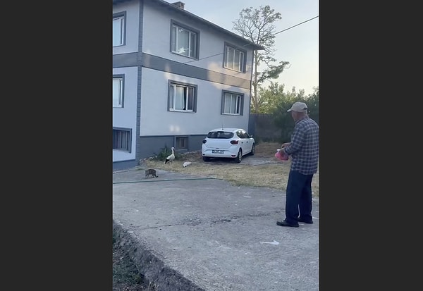 Adem Amca ve Yaren Leylek'in hikayeleri nasıl başlamıştı?