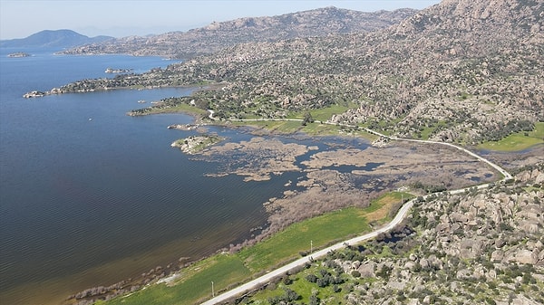 Ege Bölgesi’nin en büyük doğal göllerinden biri olan Bafa, geçen yıl yaşanan kuraklık nedeniyle ciddi su kaybı yaşamıştı