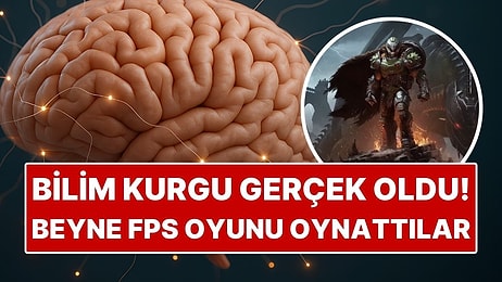 Bilim İnsanları 200 Bin İnsan Nöronuna Doom Oyununu Oynattı