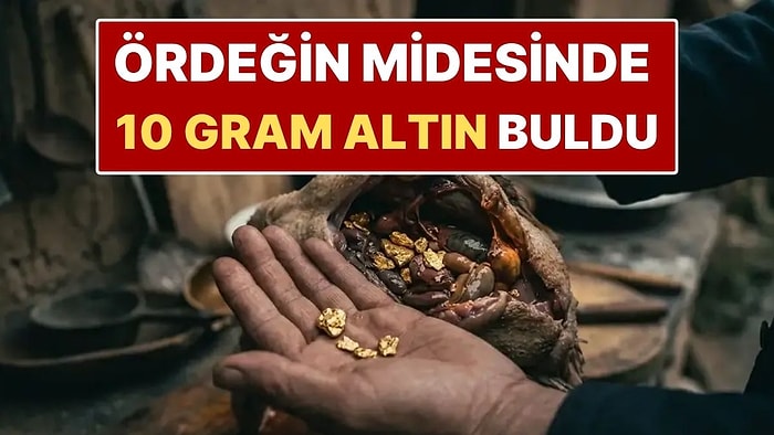 Bir Köylü Akşam Yemeği İçin Hazırladığı Ördeğin Midesinde Altın Buldu