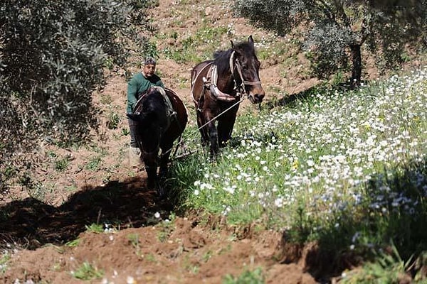 Günlük 6 bin liralık zorlu mesai