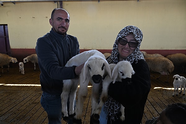 Bir dönem Kayseri'de muhasebecilik yapan 3 çocuk annesi Sağır, memleketinde satın aldığı 55 dekarlık arazide hayvancılık yapmak için 2021 yılında TKDK'ye proje başvurusunda bulundu.