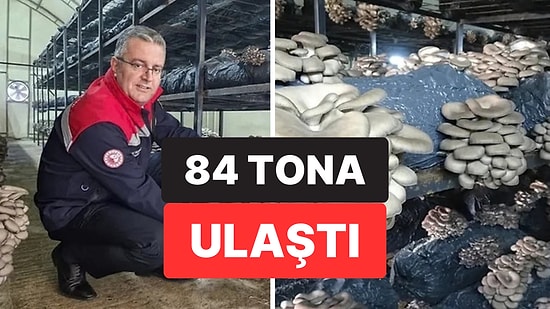Samsun’un Çarşamba İlçesinde İstiridye Mantarı Üretimi Yeni Gelir Kapısı Oluşturdu