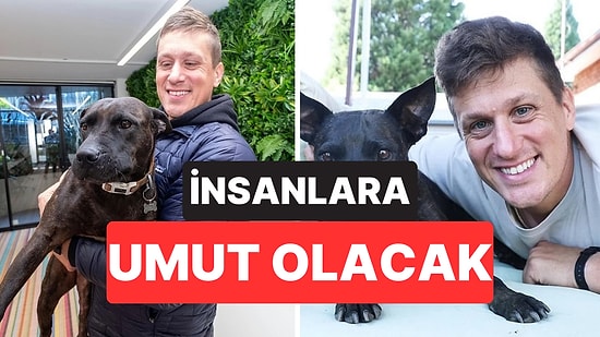 ChatGPT Yardımıyla Köpeği İçin Kişiselleştirilmiş Kanser Aşısı Geliştirdi