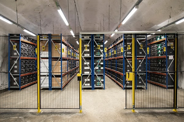 Milyonlarca tohum tek tek korunuyor, amaç geleceği kurtarmak