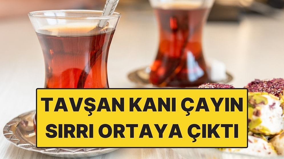 Çay Sıcak Suyla mı Demlenir, Soğuk Suyla mı? Karadenizlilerin Tavşan Kanı Çay Sırrı