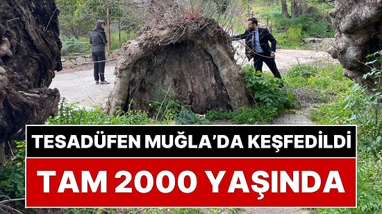 Muğla'da Tesadüfen Keşfedildi: Tam 2 Bin Yaşında!