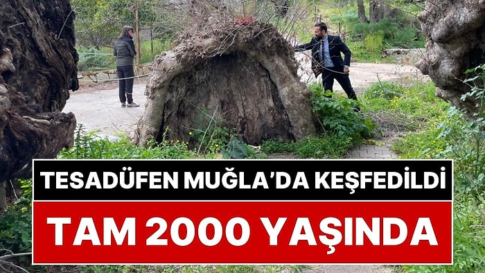 Muğla'da Tesadüfen Keşfedildi: Tam 2 Bin Yaşında!