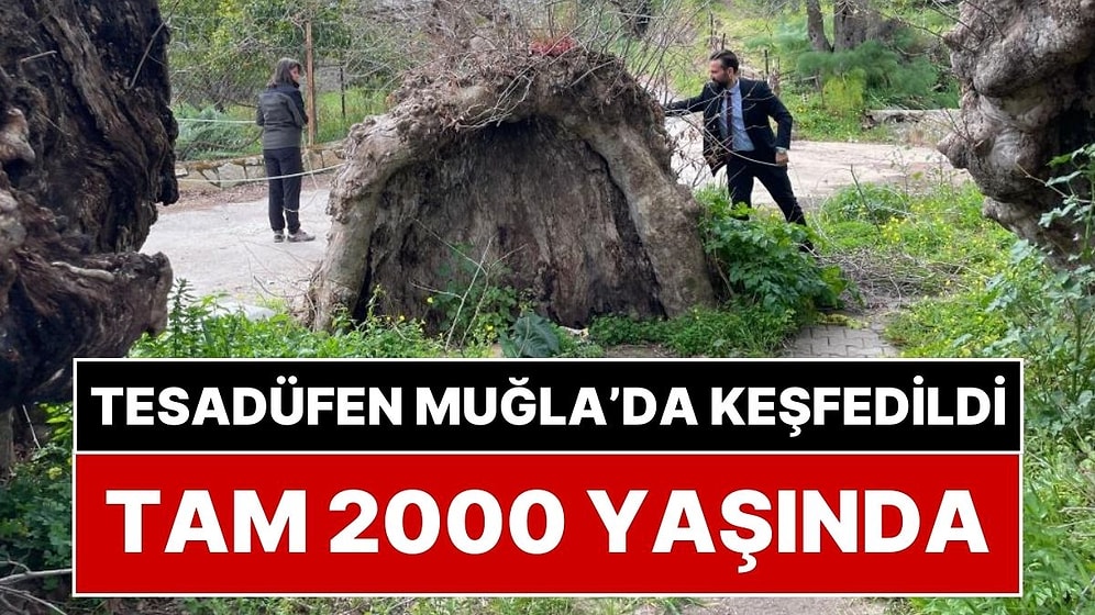 Muğla'da Tesadüfen Keşfedildi: Tam 2 Bin Yaşında!