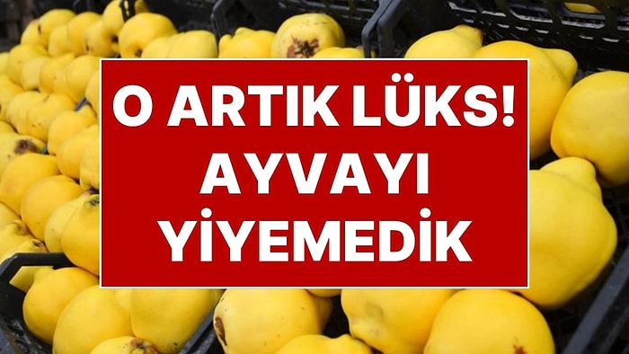 Ayvayı Yiyemedik! Kilosu 300 Liraya Dayandı; Lüks Oldu