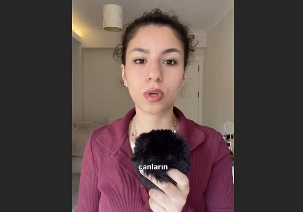 Peki bir kedinin ortalama masrafı ne kadar? Türkiye'deki güncel ekonomik koşullar ve veteriner ücretleri göz önüne alındığında, bir kedinin masraflarını üç ana başlıkta inceleyebiliriz;