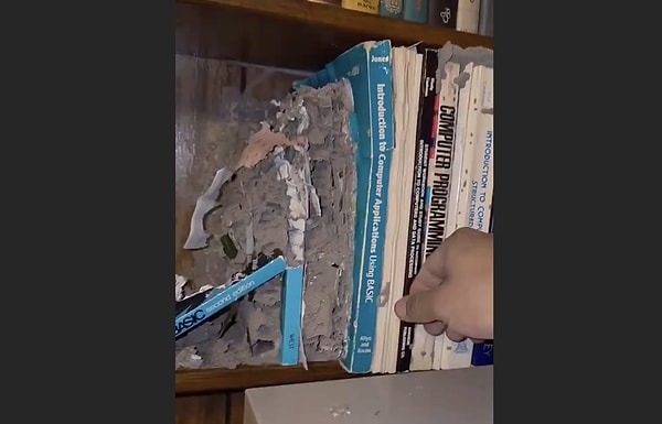 Kütüphanemizin ömrünü uzatmak için nasıl bir bakım uygulamalıyız?