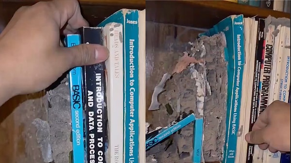 The Silent Destruction: Termites Completely Decayed Books in This Abandoned Library