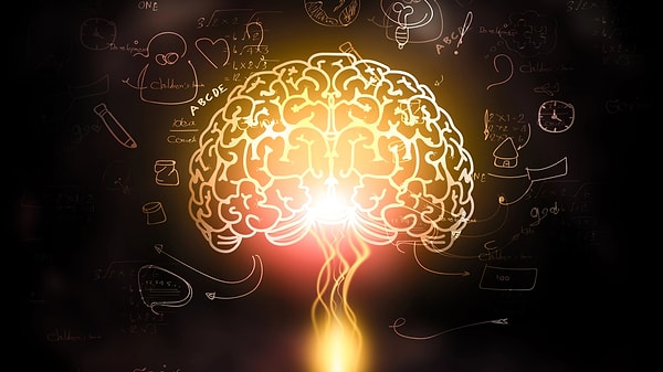 Zihniniz sürekli yeni bağlantılar kurar