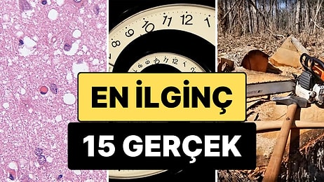 Öğrendikten Sonra Aklınızdan Silmek İsteyeceğiniz En Ürpertici 15 Gerçek