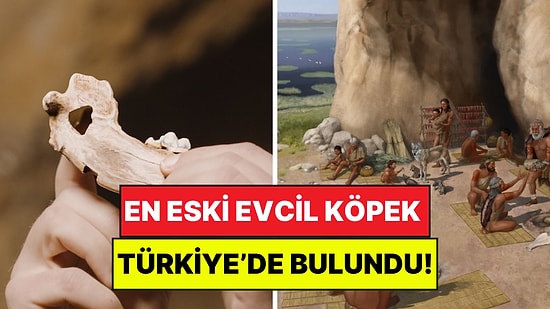 15 Bin Yıldır İnsanın En İyi Dostu: Bilinen En Eski Evcil Köpek Türkiye'de Bulundu!