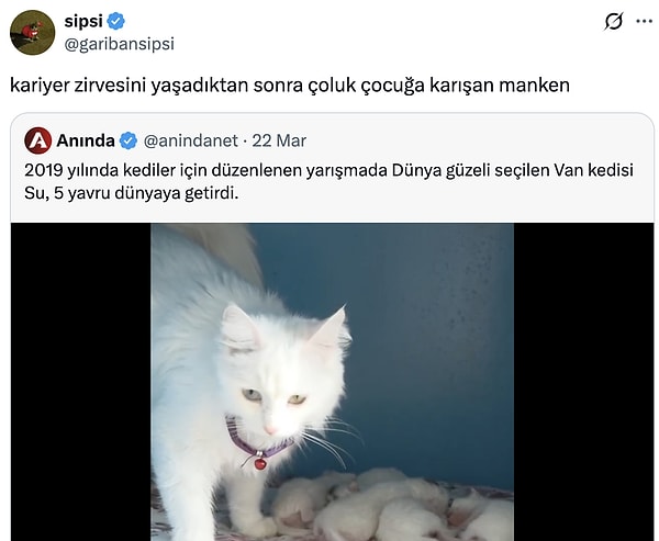 Kariyer yönetimi...