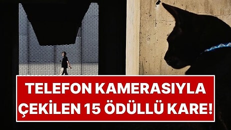 Profesyonel Kameraya Gerek Yok: Akıllı Telefon Kamerasıyla Çekilen 15 Ödüllü Kare!