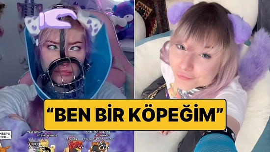Hayatını Bir Köpek Gibi Yaşayan Twitch Yayıncısı: Havlıyor, Tuvalet İçin Etrafı Kokluyor