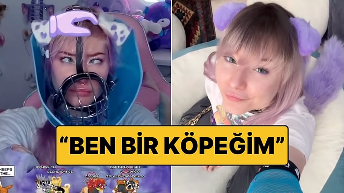 Hayatını Bir Köpek Gibi Yaşayan Twitch Yayıncısı: Havlıyor, Tuvalet İçin Etrafı Kokluyor