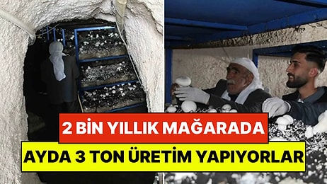 Dededen Kalma 2 Bin Yıllık Mağarada Milyonlar Kazanıyorlar: Ayda 3 Ton Üretim Bile Mantar Talebine Yetişmiyor!