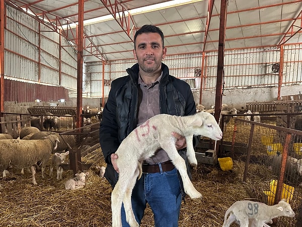 Ama hikâye tam da burada ilginçleşiyor.