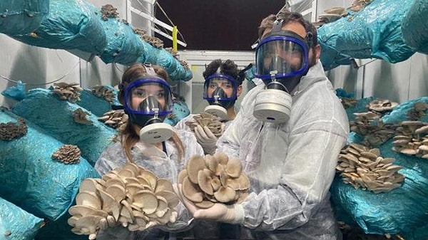 Avukatlık mesleğini sürdüren 26 yaşındaki girişimci Salih Günaydın, hobi olarak başladığı mantar yetiştiriciliğini kısa sürede profesyonel bir üretim modeline dönüştürdü.