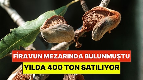 4 Bin Yıllık Firavun Mezarında Keşfedildi: Şimdi Yılda 400 Ton Satılıyor