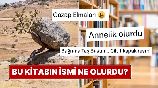Görenlerin İçindeki Şairi Uyandıran Fotoğraf: "Bu Bir Kitap Kapağı Olsaydı..." Paylaşımına Yaratıcı İsimler